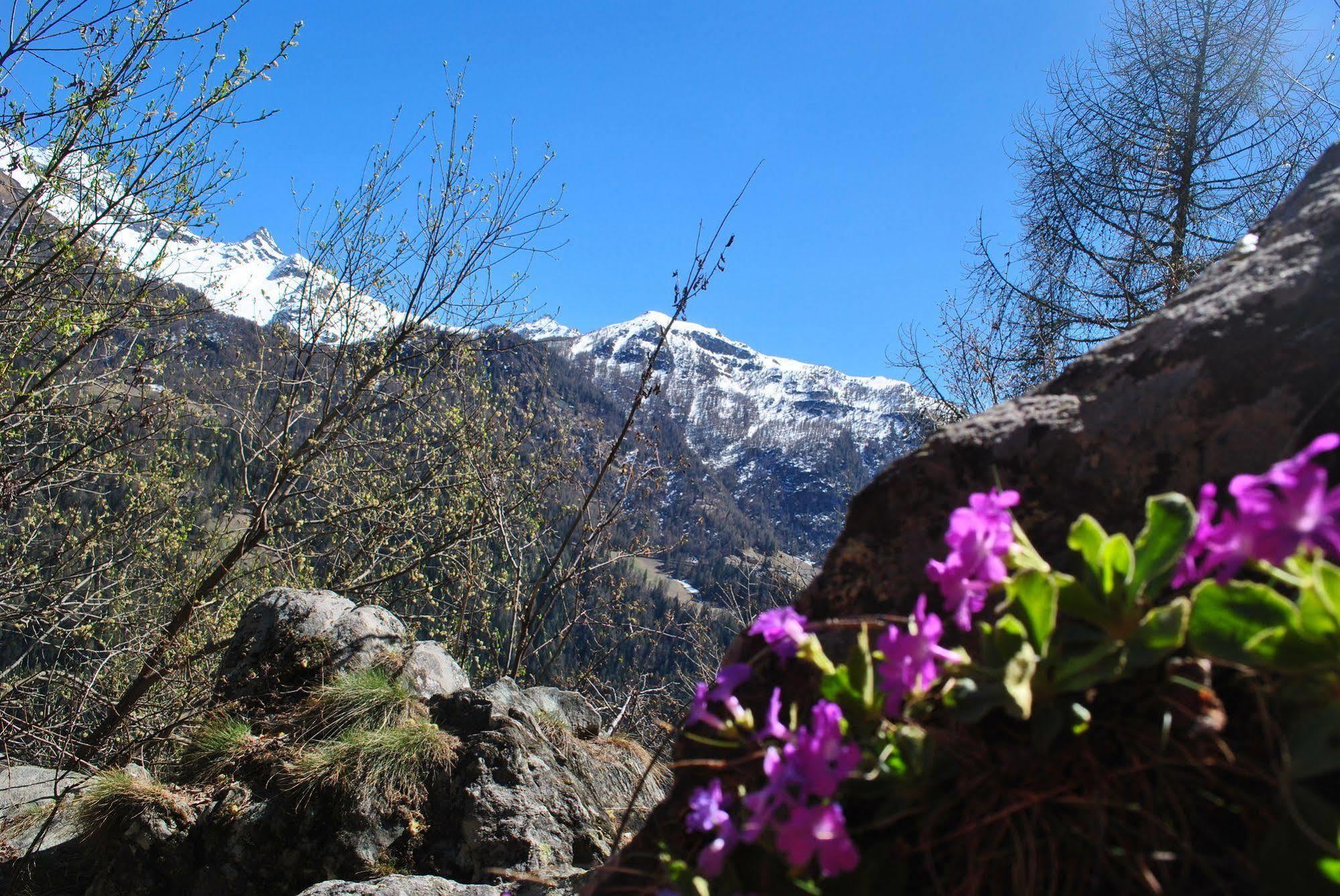 Hotell Millefiori- Alpine Event Lodge Valtournenche Exterior foto