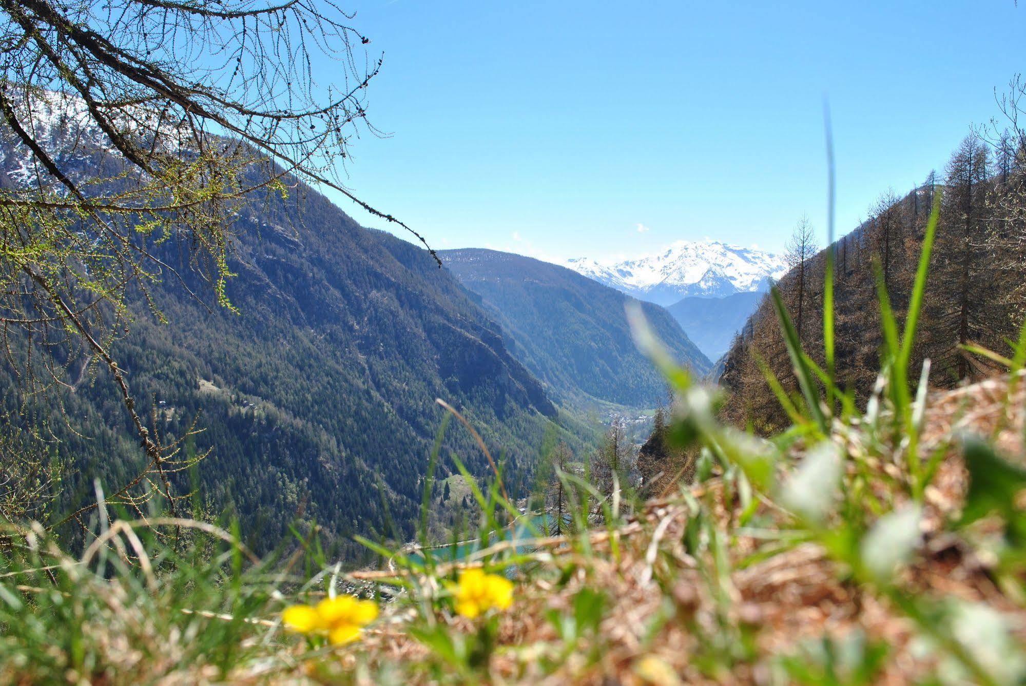 Hotell Millefiori- Alpine Event Lodge Valtournenche Exterior foto