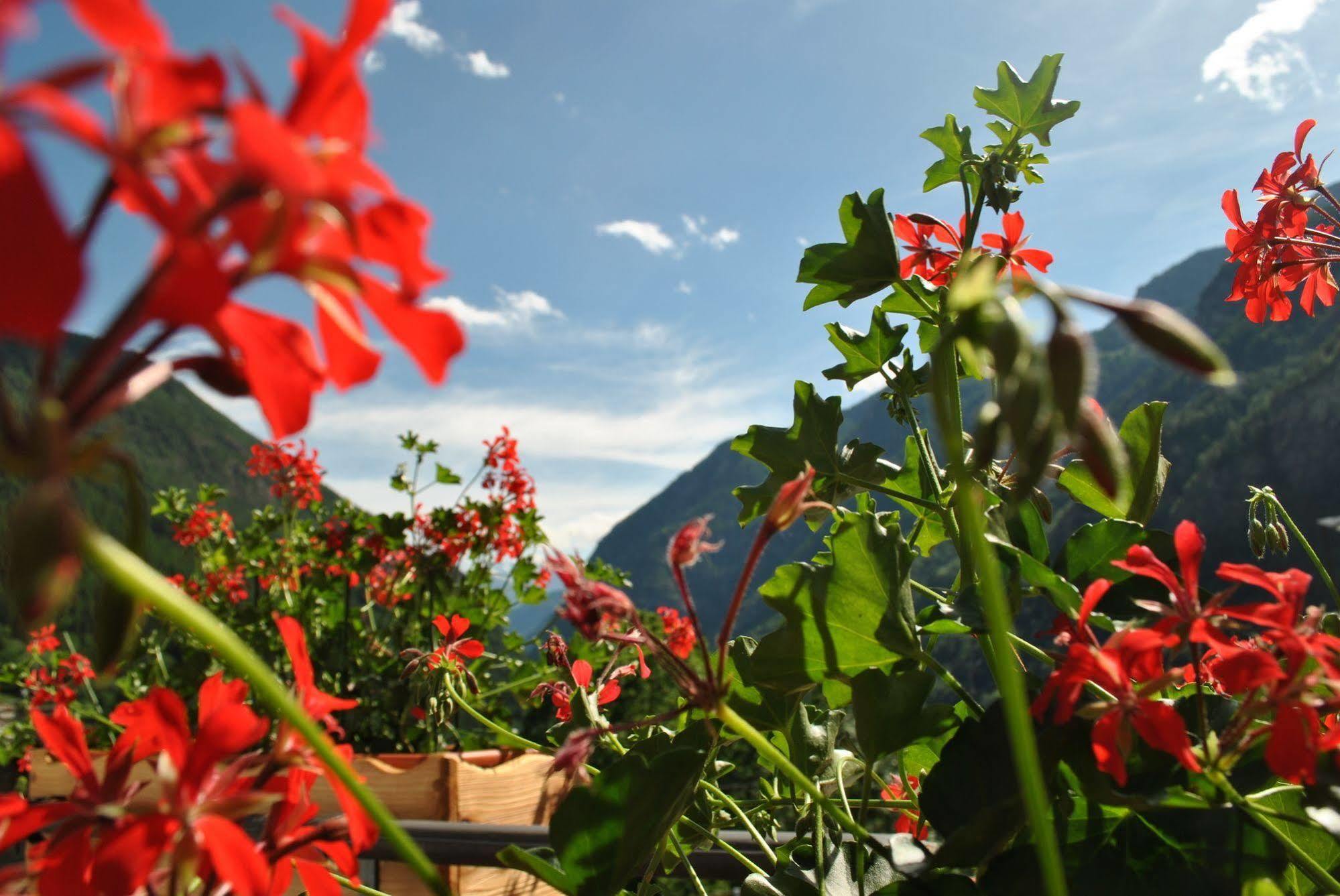 Hotell Millefiori- Alpine Event Lodge Valtournenche Exterior foto